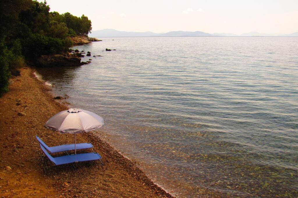 Christie'S Ground Floor Apartment By The Sea Kato Gatzea Buitenkant foto